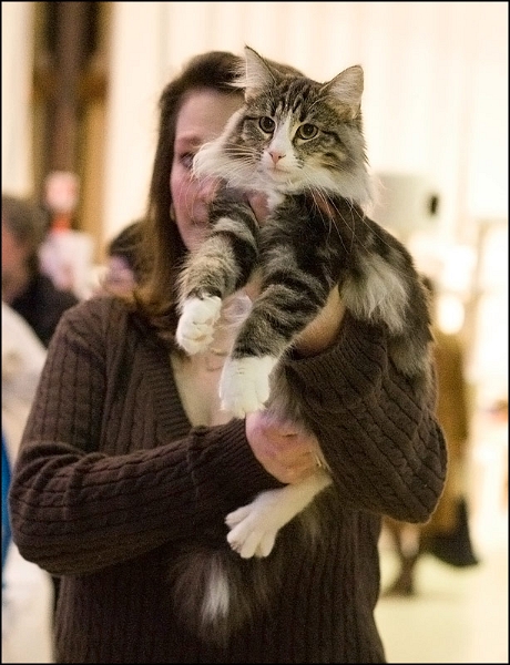 Carla Bruni du Domaine d'Asgard 1.jpg - Carla Bruni du Domaine d'Asgard